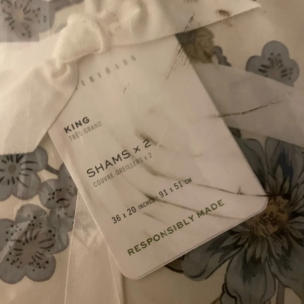 2 Pottery Barn Bloom King Shams Ivory